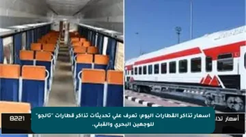 أسعار تذاكر القطارات اليوم: تعرف على تحديثات تذاكر قطارات “تالجو” للوجهين البحري والقبلي.